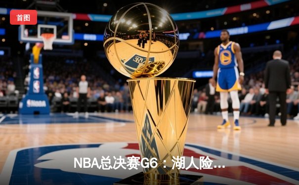 NBA总决赛G6：湖人险胜热火捧杯，詹姆斯荣膺FMVP